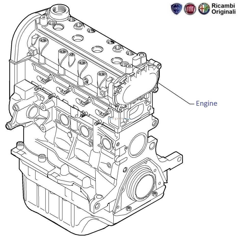 FIAT Punto 1.3 MJD: Complete Engine & Bare Engine